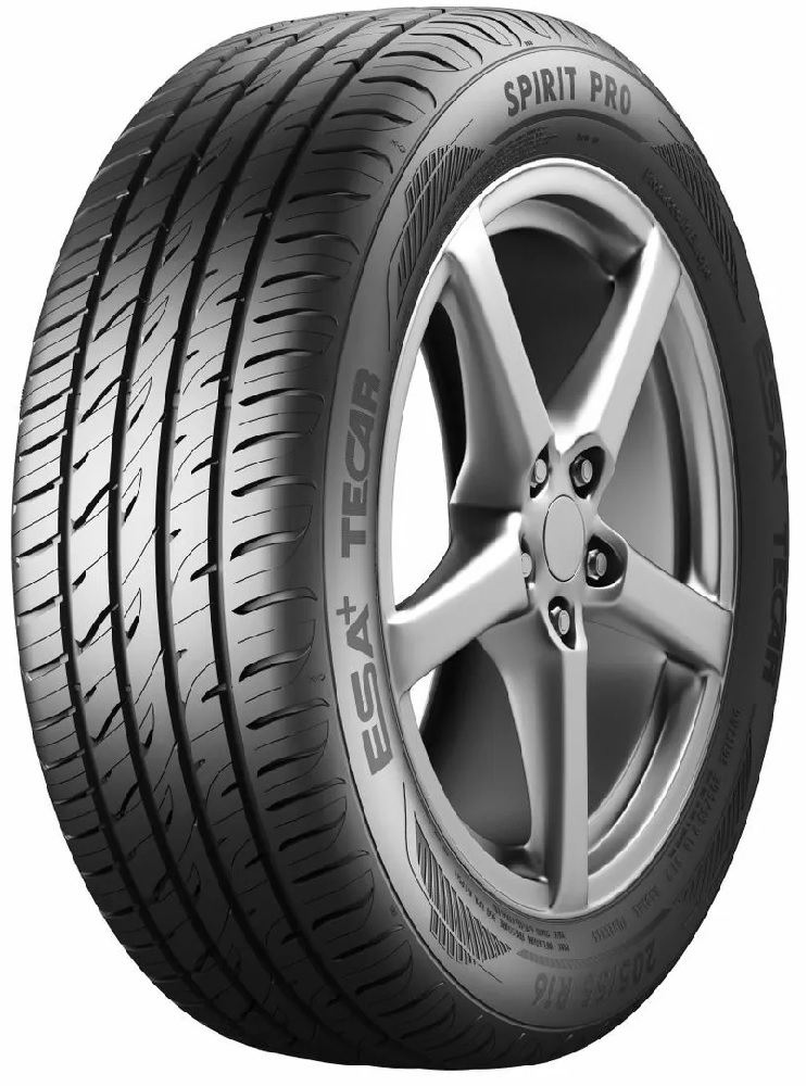 ESA Tecar Spirit Pro