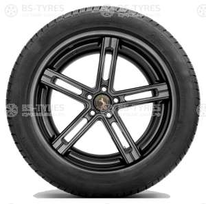 Continental ContiWinterContact TS830P SUV 255/55 R18 105V