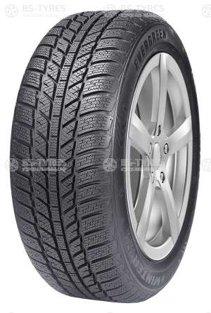 Evergreen Winter EW62 165/65 R14 79T