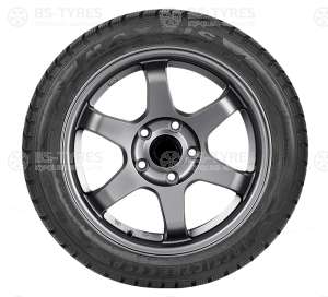Maxxis WP-05 Arctic trekker 175/65 R15 88T